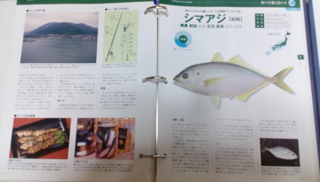 ■『週刊 日本の魚釣り』バインダー12冊■技術・道具・釣り場・魚・釣りのすべて■ Amazon.co.jp: □『週刊 日本の魚釣り』バインダー12冊□技術